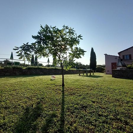 Podere S.Giulia - Casale S.Giulia Riotorto Εξωτερικό φωτογραφία